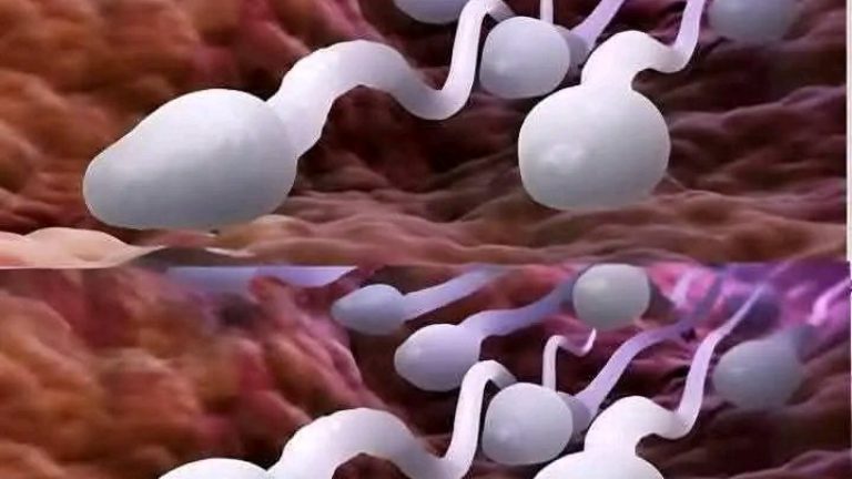 Estudios revelan que tragarse el semen de su pareja es altamente bueno para la salud por la cantidad de componentes nutritivos que lo componen …Ver más