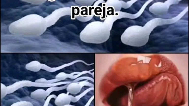 !!! Estudios revelan que si tragas semen de tu pareja…Ver más
