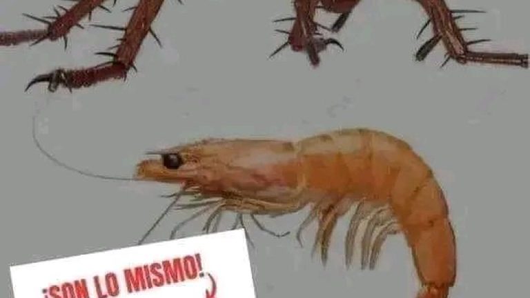 Estudios recientes revelan que son lo mismos.