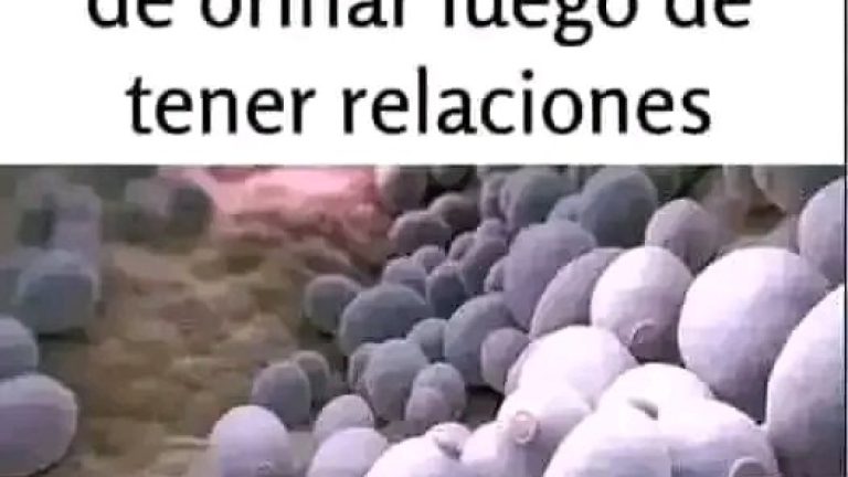 Mucha atención. Si vas a tener relaciones ni se te ocurra orinar antes