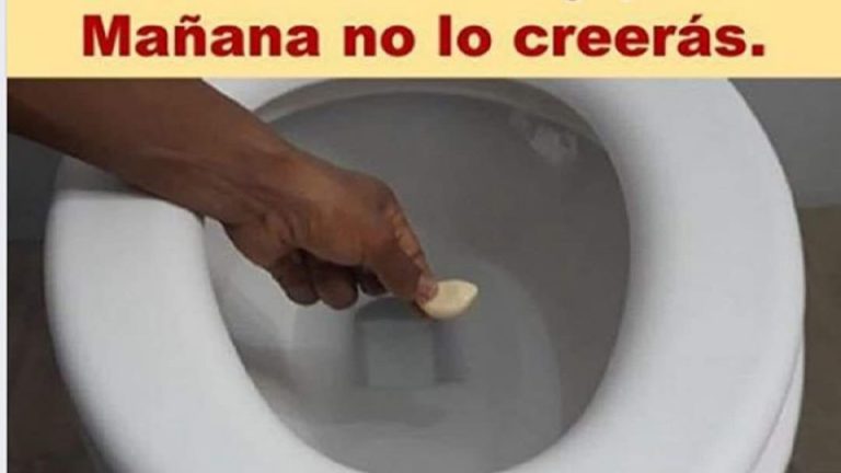 PON 1 AJO EN EL INODORO ANTES DE DORMIR Y POR LA MAÑANA NO LO CREERÁS