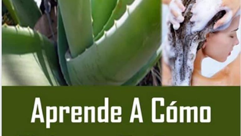 Como elaborar tu propio shampoo de sábila