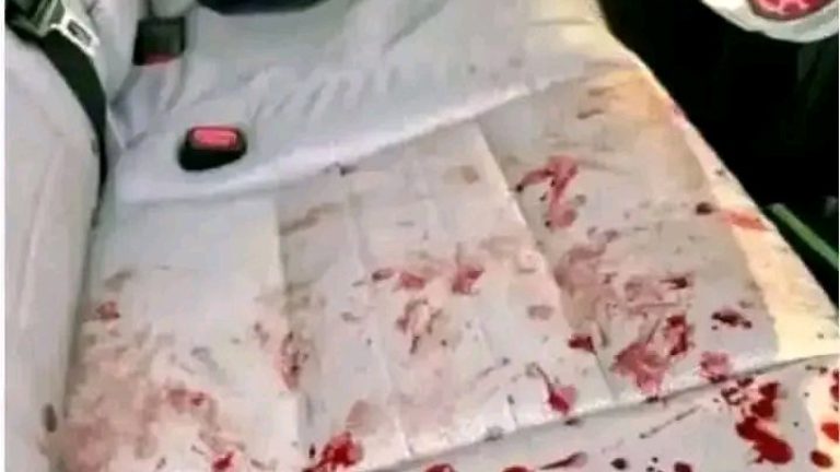 Luto nacional Hoy en la madrugada falleció uno de los hijos del famoso actor de television en accidente de tránsito …Ver más